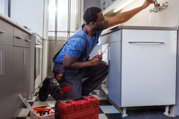 Best Clogged Drain Plumber  in Foley, MN